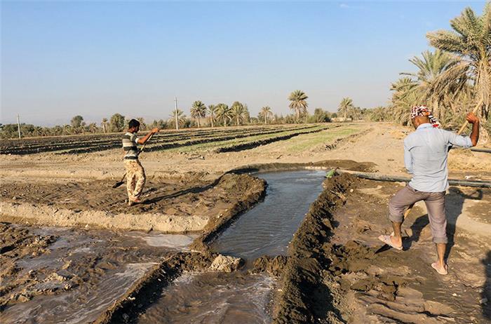 آبیاری غرقابی